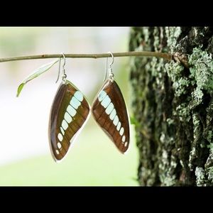 Real butterfly earring 925 sterling silver